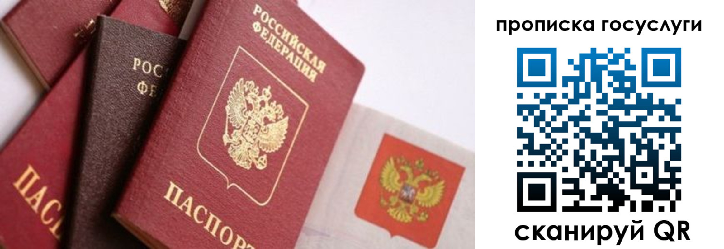 прописка законно в Александровске-Сахалинском